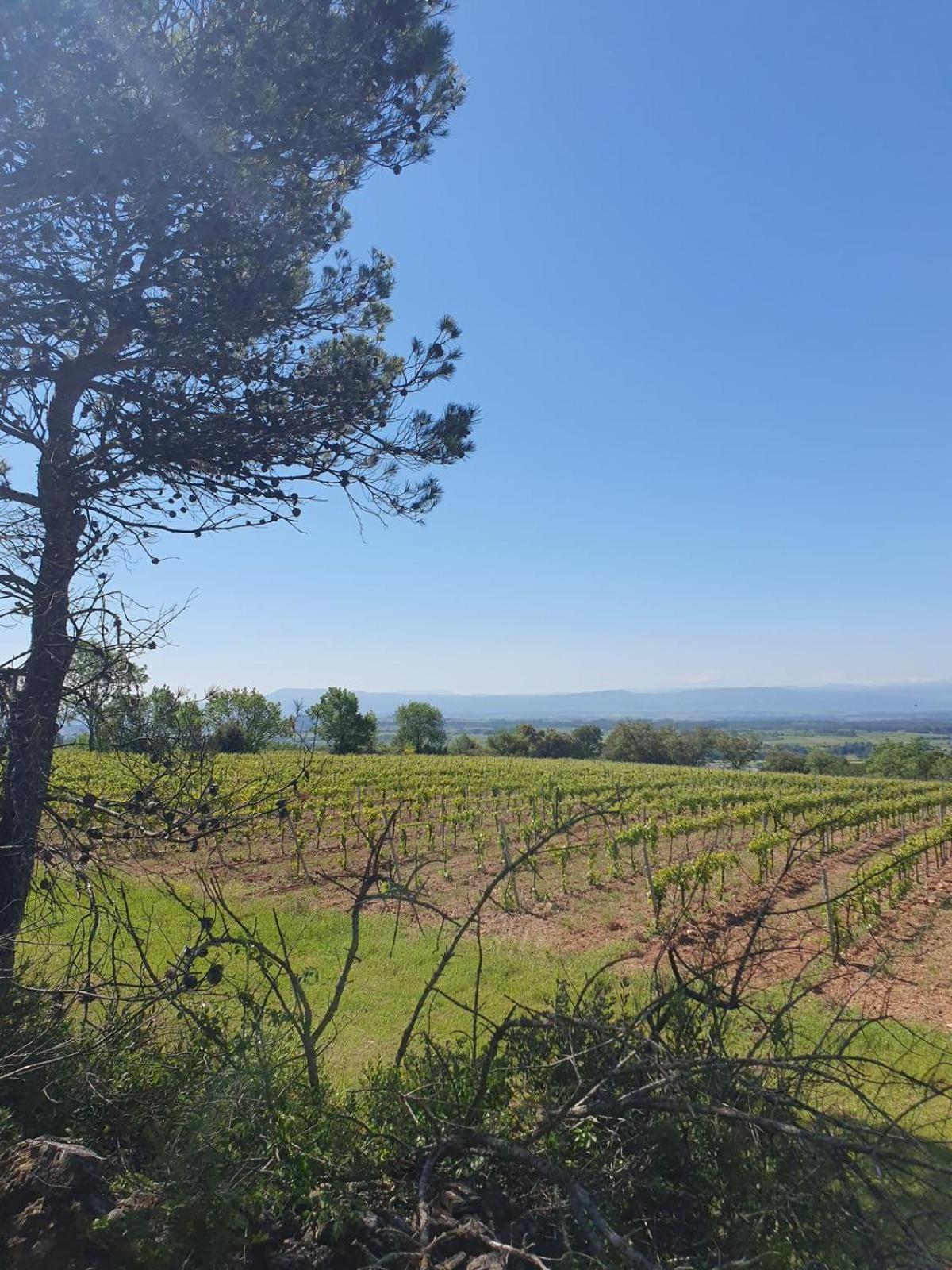 Maison De Charme Caunes-Minervois Bagian luar foto